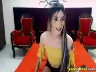 Tranny Babe with Tattoo Masturbate On Webcam