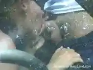 GF sucking dick through the car side window