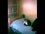 Fat Pussy Railed On Bed