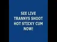 Live Tranny Cum 140