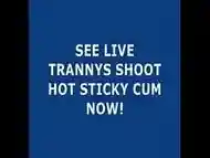 Live Tranny Cum 25