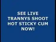 Live Tranny Cum 36