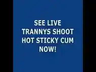 Live Tranny Cum 79