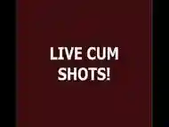 Live Ts Cum 113