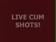 Live Ts Cum 41