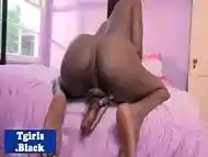 Natural ebony tranny wanking her hard cock