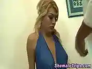 Tgirl interracial fucks