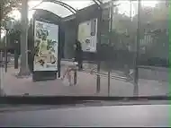 pute a un arret de bus