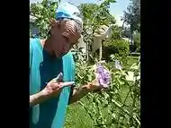 what my haircut looks with flowers