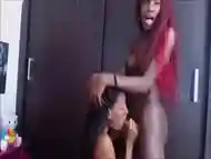 Ebony ts having her cock sucked by a black beauty