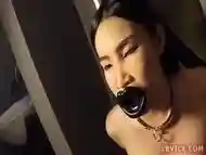 Pissed On Ladyboy Donut Gives Blowjob